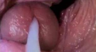 Кончающий член внутри влагалища